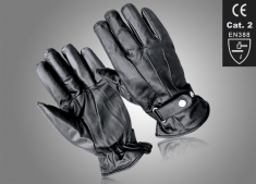 	Winter & Fashion Gloves